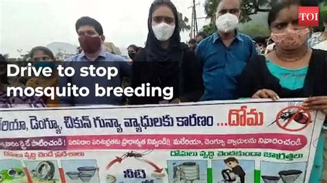 Visakhapatnam: ‘Friday dry day’ drive conducted to stop mosquito ...