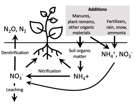 Plant Nutrients - Macro & Micro : Center for Agriculture, Food, and the ...