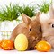 Image result for Cute Easter Pattern Wallpaper