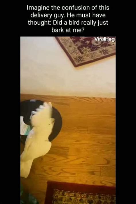 Outsourcing to Man in Hut Meme 的图像结果