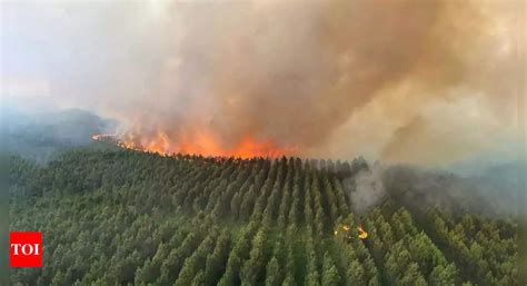 Hundreds more evacuated from homes as wildfires spread in France ...