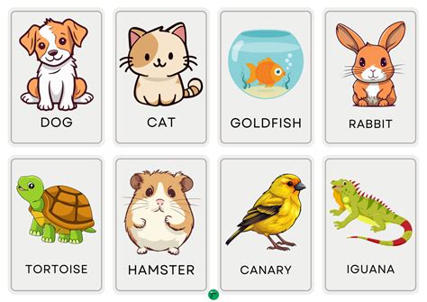 Flashcards Imprimibles sobre Vocabulario de las Mascotas en Inglés ...
