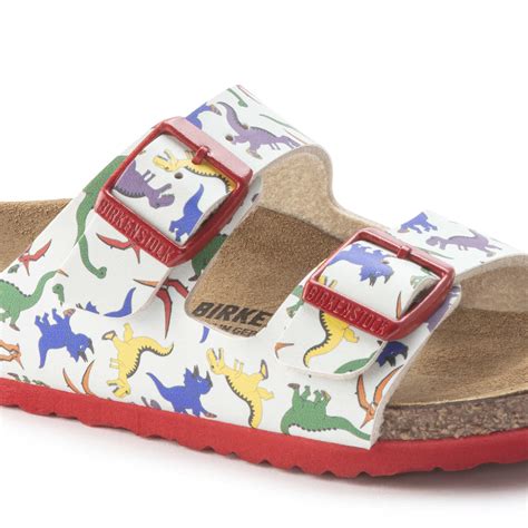 Buy Multi Multi/Best Friends Dino Multi Arizona Kids Birko-Flor Online ...