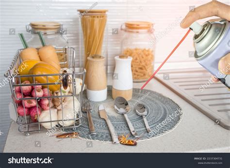 Image result for Cockroach Poison