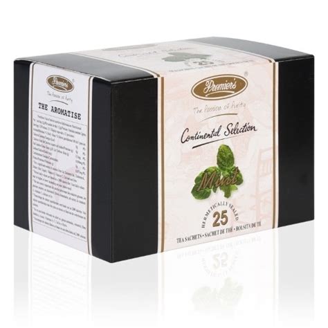 Mint Flavoured Tea Bags | Teamoods India