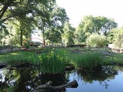 ZooLex Exhibit - Bison and Peccary