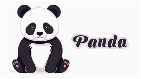 Image result for Panda Intro