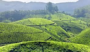 Suryanelli Idukki - Hi Idukki Tourist Places