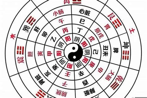 如何看懂八字排盘（八字算命入门级教程）-开运随记