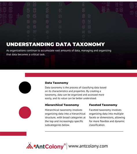 Image result for Master Data Taxonomy