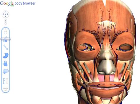 Image result for Most Viewed Internet Body