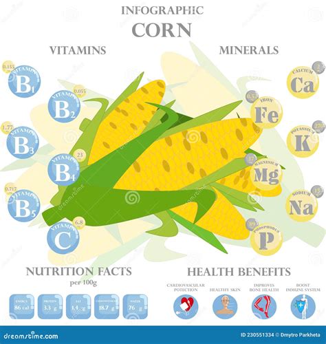 Corn Nutrition Facts and Health Benefits Infographic Stock Vector ...