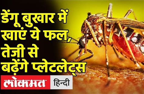 Know which fruits should be eaten in dengue fever, which will increase ...
