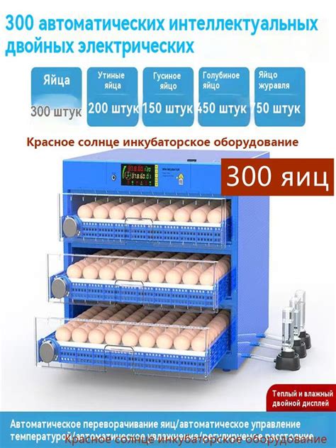 Инкубатор для яиц купить на OZON по низкой цене (2754847944)
