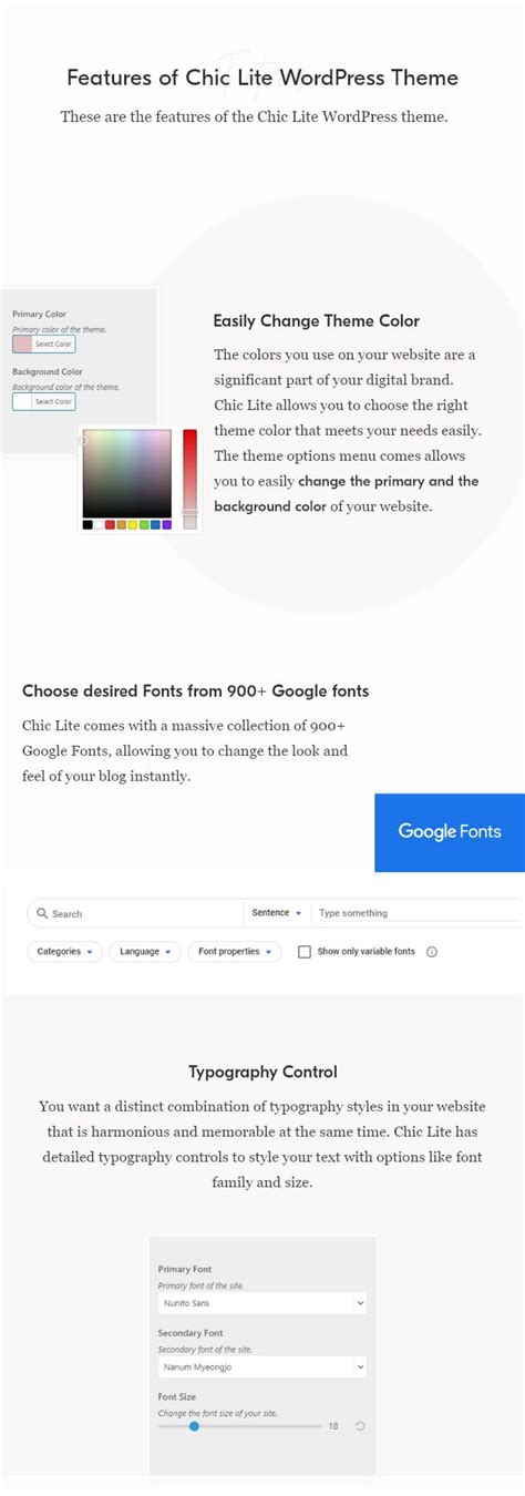 Chic Lite WordPress Theme 的图像结果
