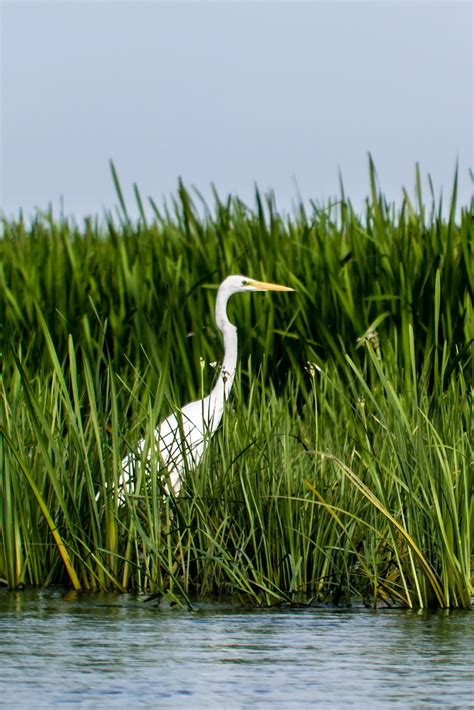 Home | Biodiversity Credits