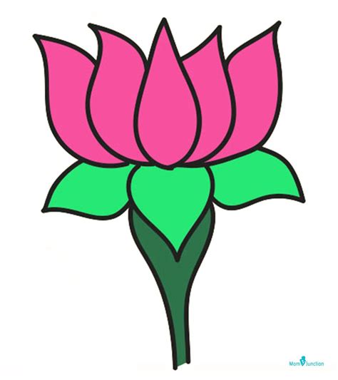 flower drawing lotus
