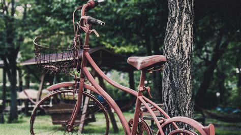 Download wallpaper 1280x720 bicycle, vintage, decoration, garden hd ...