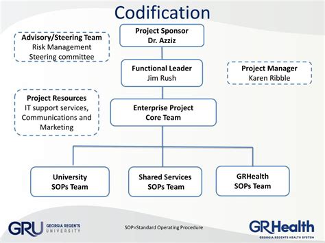 Codification Process 的图像结果