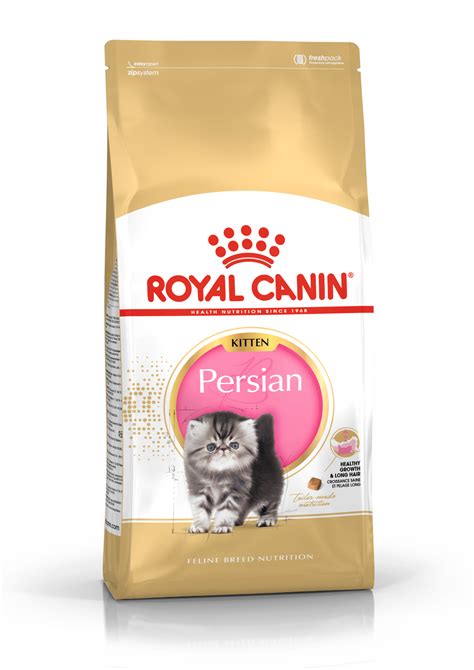 Persian | Cat Breed | Royal Canin IN