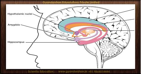 Image result for Memory Science