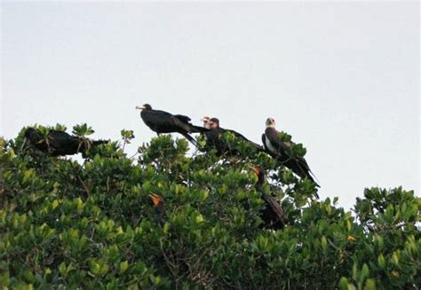 Ripple Effect Ecotours (Islamorada) - All You Need to Know BEFORE You Go