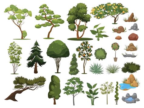 Draw Tree In Illustrator at Amy Kates blog