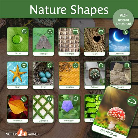 Nature Shapes Poster and Cards | Nature Shapes Preschool | Nature ...