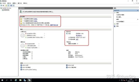 WSUS Tutorial 的图像结果