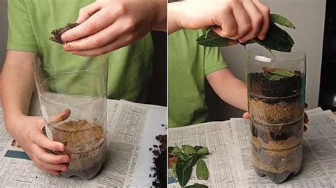 Build a Worm Farm, science experiment for children