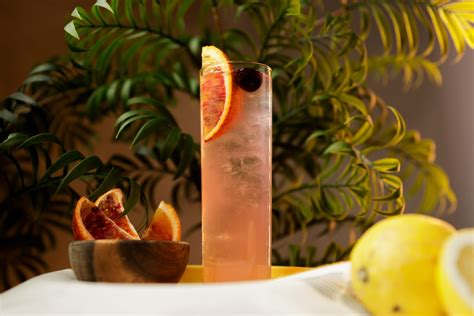 23 Collins Cocktails and Recipes to Know - DrinksWorld