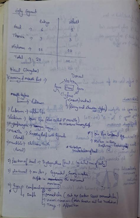 Image result for Cockroach Class 12