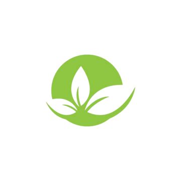 Image result for Spring Leaf Logo Java