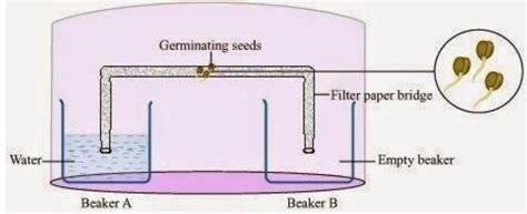 SATHEE: Chapter 06 Control and Coordination