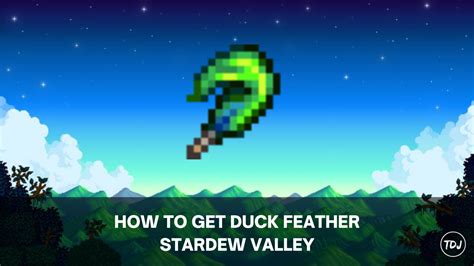 Stardew Valley - How to Get Duck Feather | The Daily Juice