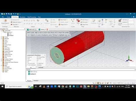 Cord Computer Simulation 的图像结果