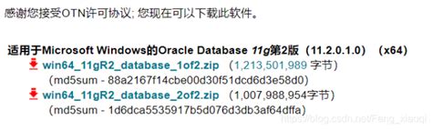 oracle 11g 服务端下载地址及安装说明_oracle11g官网-CSDN博客