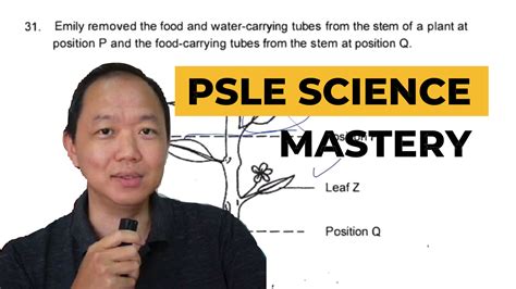 Image result for PSLE Science Explained