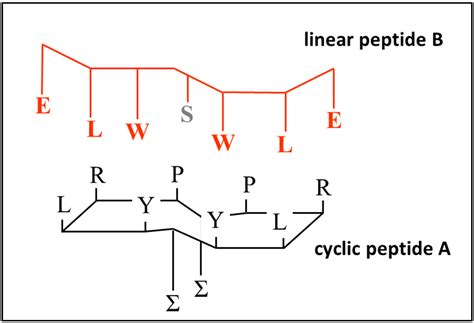 Binding Interactions of Peptide Aptamers