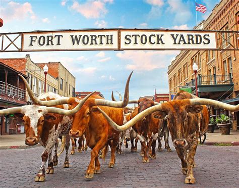 RATATOUILLE BISTRO, Ottawa - 2026 Reviews & Information