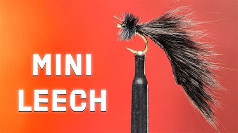Image result for Micro Leech Fly Pattern