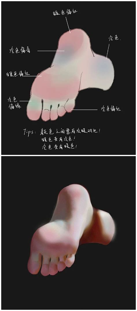 Foot Drawing 的图像结果