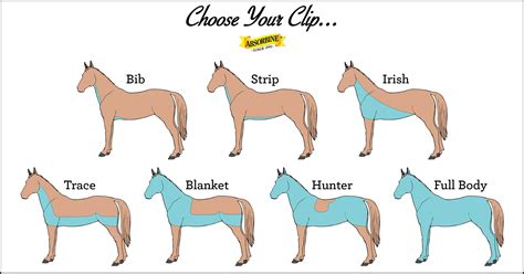 Common clipping patterns for the winter. Make sure to use ShowSheen ...