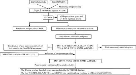Image result for Work Study Programm Diagram