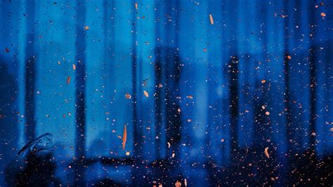 Python App Development with Tkinter 的图像结果