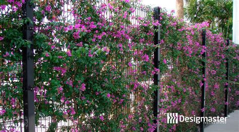 Large Yard Fence 的图像结果