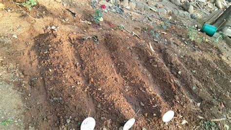 Haritamritam Organic Gardening at Nerul Math | Ayudh - Awaken Youth ...