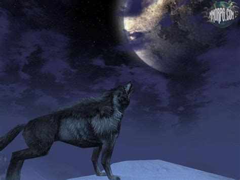 夜狼主題安卓下载，安卓版APK | 免费下载