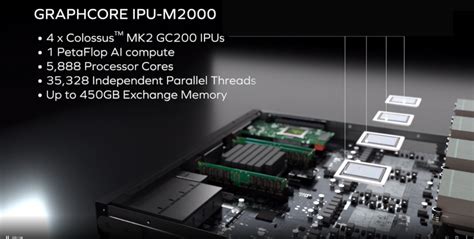 Graphcore vs Nvidia 的图像结果