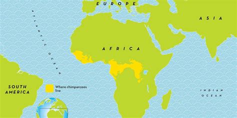 Where Do Chimpanzees Live
